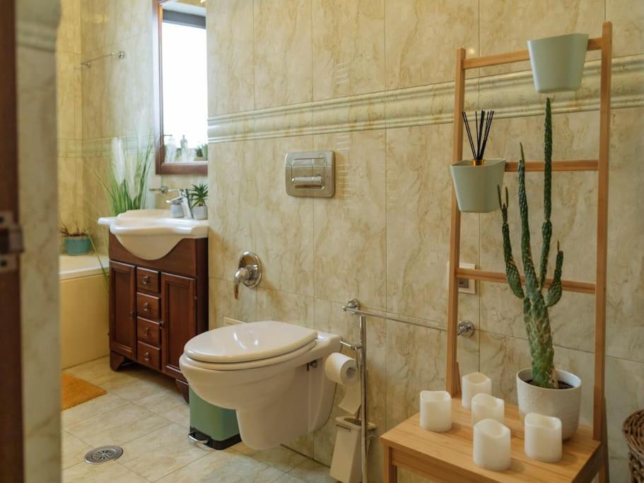 Apartament Terrasse Des Plongeurs Bukareszt Zewnętrze zdjęcie