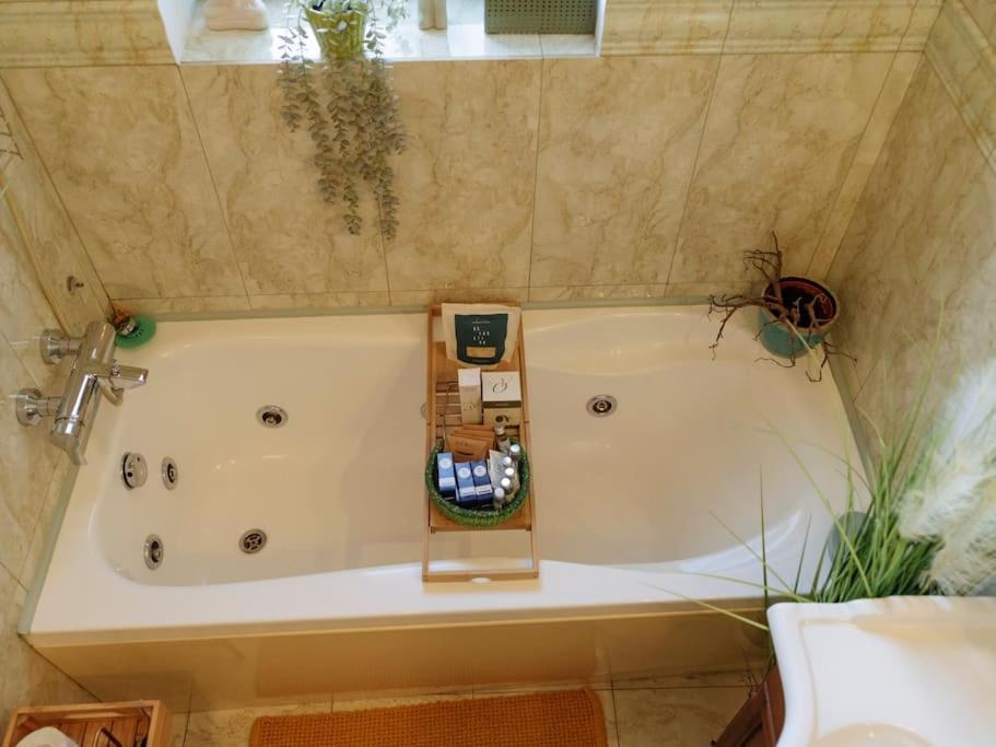 Apartament Terrasse Des Plongeurs Bukareszt Zewnętrze zdjęcie